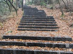 -紫金山山顶公园