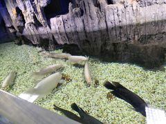-海合安武汉极地海洋公园