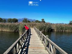 -野鸭湖国家湿地公园