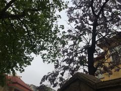 -青岛市江苏路基督教堂