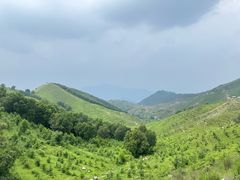 -灵山