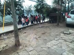 -成都爱之家动物救助中心