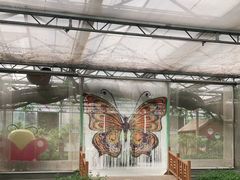 -南宫五洲植物乐园