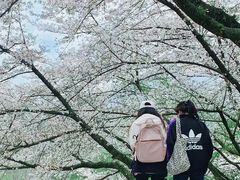 -杭州少年儿童公园