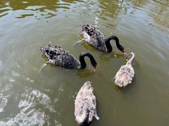 -昆明动物园
