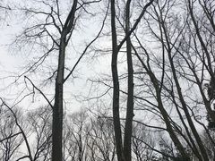 -共青国家森林公园-售票处