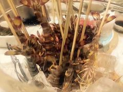 -虾佬圣汤