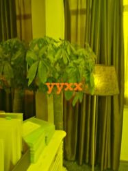 -Yestar杭州艺星医疗美容医院