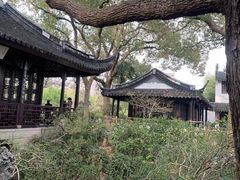 -上海醉白池公园