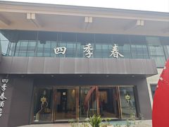 -四季春