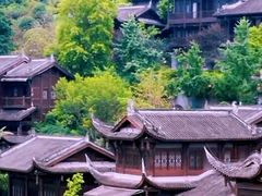 -南山植物园