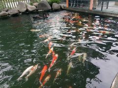-湖鲜楼