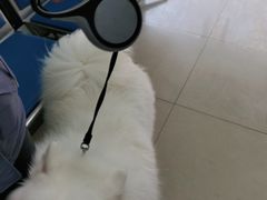 -申普宠物医院·眼科·心内科·影像科(普陀分院)