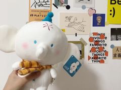 -PAWTOY爪e玩偶店(天兴罗斯福店)