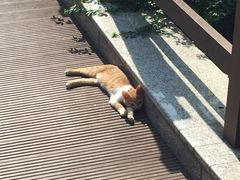 -苏州河梦清园环保主题公园