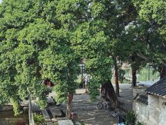 -烟桥私房菜馆(奋哥)