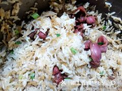 -东鸽皇(奥园·中环广场店)