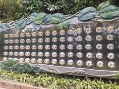 -广州长隆野生动物世界