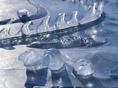 -长春市南湖公园