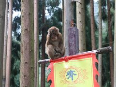 -太阳湾风景区