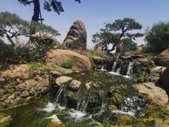 -罗红摄影艺术馆