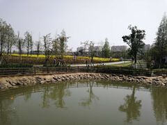 -田园东方蜜桃村的田野营地