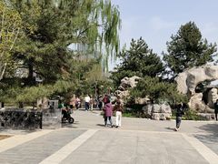 -西海子公园