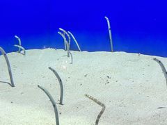 -上海海洋水族馆