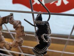 -船歌·鱼水饺青岛菜(枫蓝国际购物中心店)