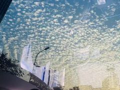 -TESLA 特斯拉(深圳观澜特斯拉直营钣喷中心)