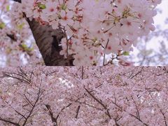 -龙美术馆(西岸馆)