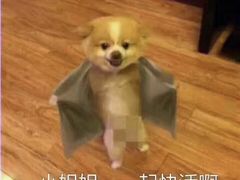 -星巴克(苏州平江万达广场店)