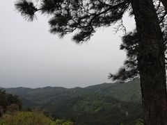 -木兰云雾山