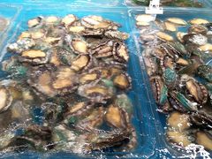 -盒马鲜生(曜一城店)