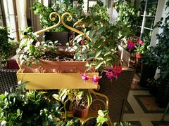 -莫奈花园餐厅(麦迪逊花园店)