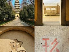 -灵谷景区