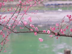-望江楼公园