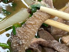 -正宗阳山牛杂(东城店)