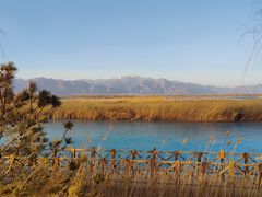 -野鸭湖国家湿地公园