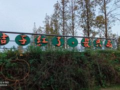 -前小桔亲子创意农场·草莓采摘·露营烧烤