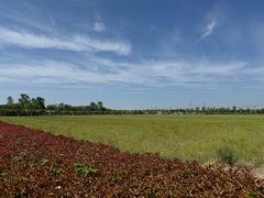 -嘉北郊野公园