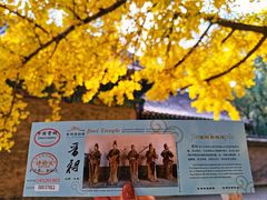 -晋祠公园