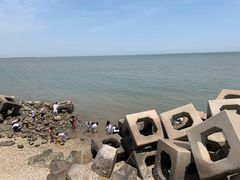 -东疆建设开发纪念公园