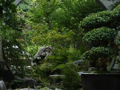 -上海醉白池公园
