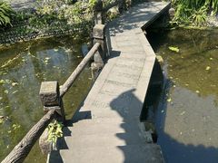 -桂湖森林公园