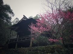 -黄公望隐居地