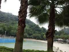 -重庆海昌加勒比海水世界