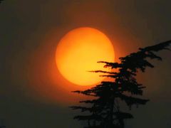 -桤木河湿地公园