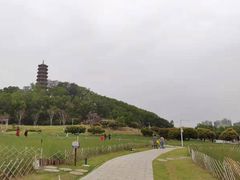 -红花山公园