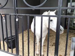 -金庭庄园酒店-停车场